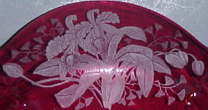Paden City Orchid