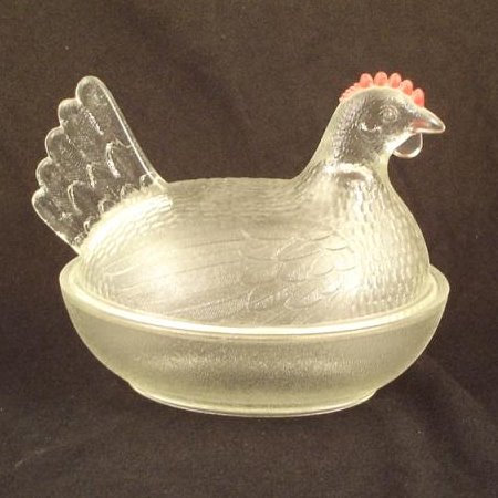 Indiana Hen on Nest