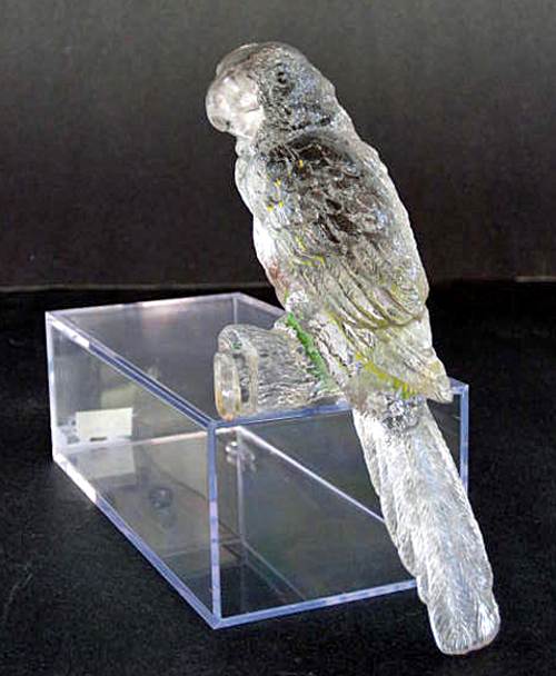 Lancaster Parrot