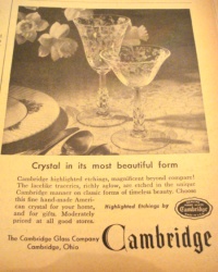Cambridge Daffodil Advertisement
