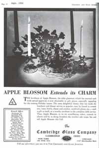 Cambridge Apple Blossom Advertisement