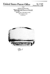 Phoenix Light Fixture Globe Design Patent D177027-1