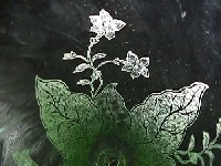 Fostoria # 270 Mystic Etch